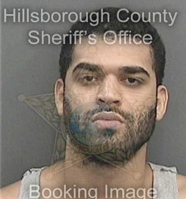 Gerardo Ortega, - Hillsborough County, FL 