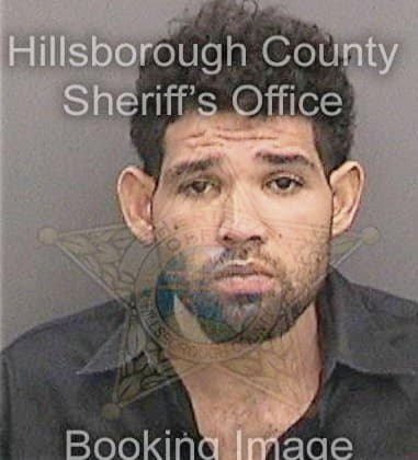 Shayvone Brown, - Hillsborough County, FL 