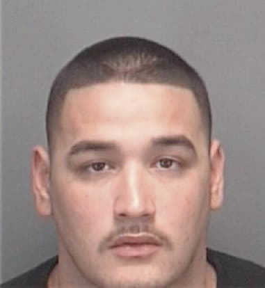 Andres Castaneda, - Pinellas County, FL 