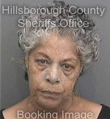 Laporche Jenkins, - Hillsborough County, FL 