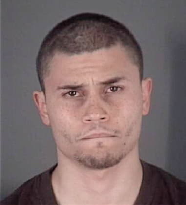 James Martinelli, - Pasco County, FL 