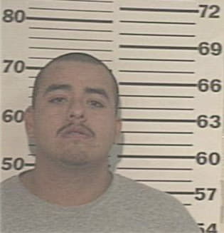 Fernando Navarro, - Hidalgo County, TX 