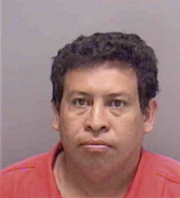 Tomas Pedro, - Lee County, FL 