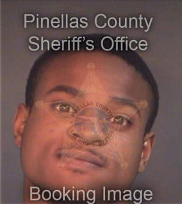 Stephen Brinson, - Pinellas County, FL 