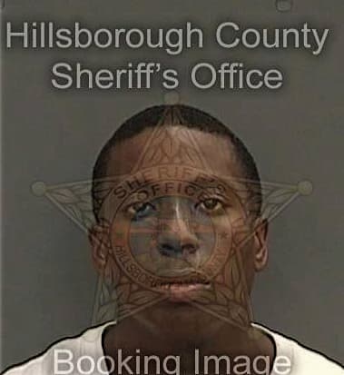 William Longs, - Hillsborough County, FL 