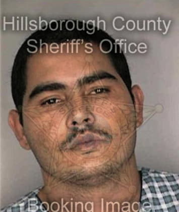 Jessie Miles - Hillsborough County, FL 