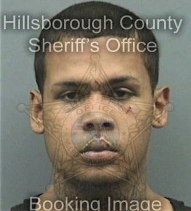 Tony Patterson, - Hillsborough County, FL 