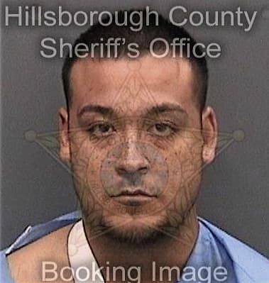 Natael Perezlugo, - Hillsborough County, FL 