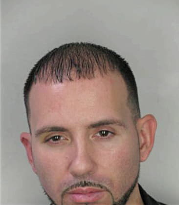 Alfredo Ramirezdominguez, - Hillsborough County, FL 