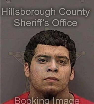 Delancey Shew, - Hillsborough County, FL 