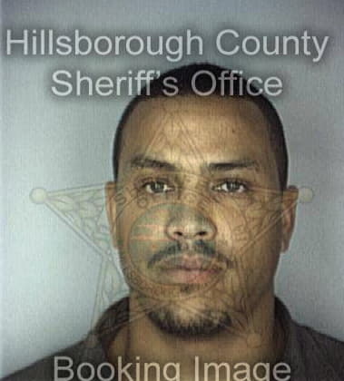 Robert George, - Hillsborough County, FL 