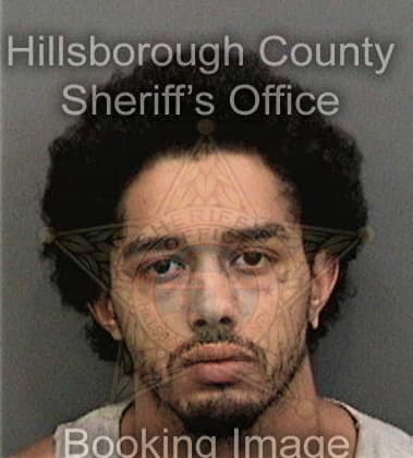 Jose Hernandezoliva - Hillsborough County, FL 