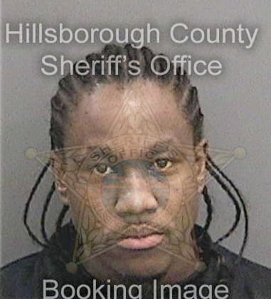 Reginald Jenkins, - Hillsborough County, FL 