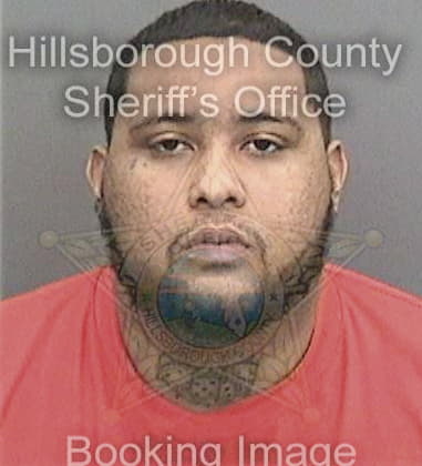 Roberto Jimenezreyes, - Hillsborough County, FL 