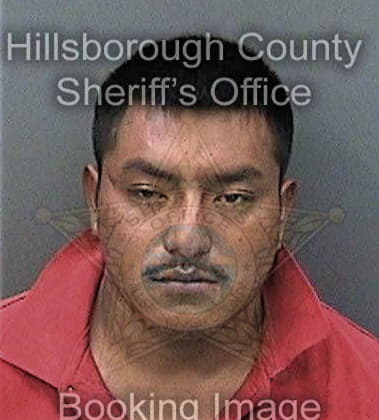 Cabrera Lopez, - Hillsborough County, FL 