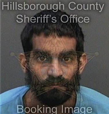 Cesar Marrerosantiago, - Hillsborough County, FL 