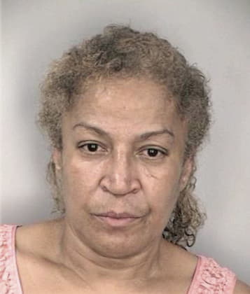 Mileena Mina - Hillsborough County, FL 