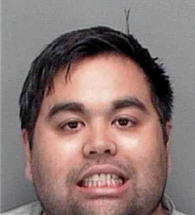 Mohammad Mirza, - Pinellas County, FL 