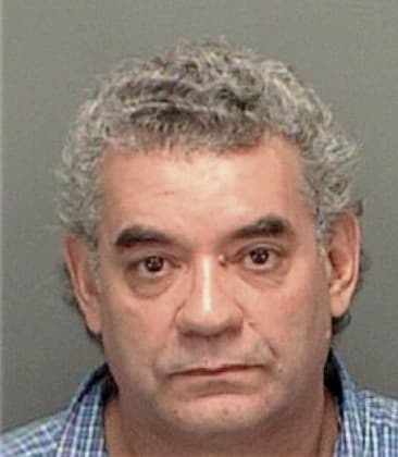 Santiago Pulecio, - Pinellas County, FL 