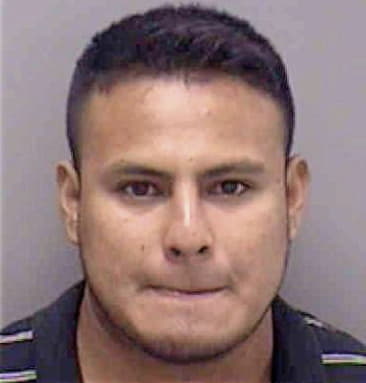 Luis Ruiz, - Lee County, FL 