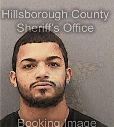 Richard Sleem, - Hillsborough County, FL 