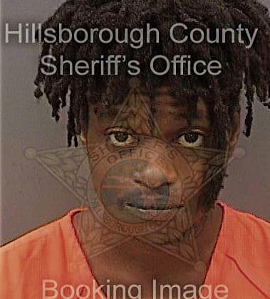 Terrence Small, - Hillsborough County, FL 