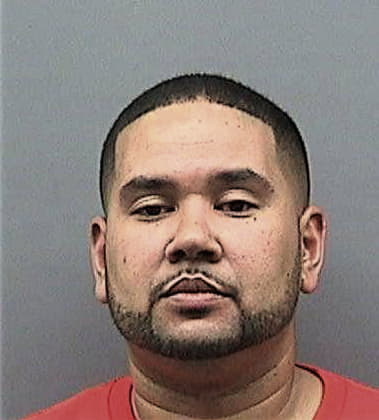 Waldo Yanescruz, - Hillsborough County, FL 