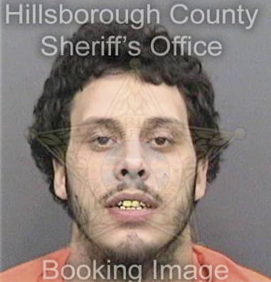 Leo Henry - Hillsborough County, FL 