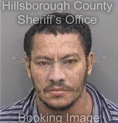 Dustin Irwin, - Hillsborough County, FL 