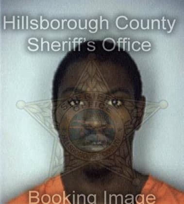 Derek Lewis, - Hillsborough County, FL 