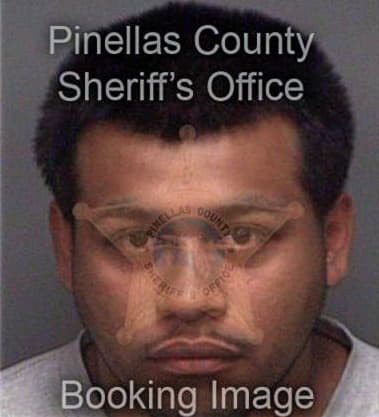 Alexis Pardodgonzalez, - Pinellas County, FL 