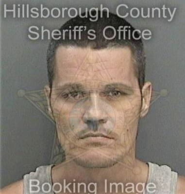 Bertin Almarazramirez, - Hillsborough County, FL 