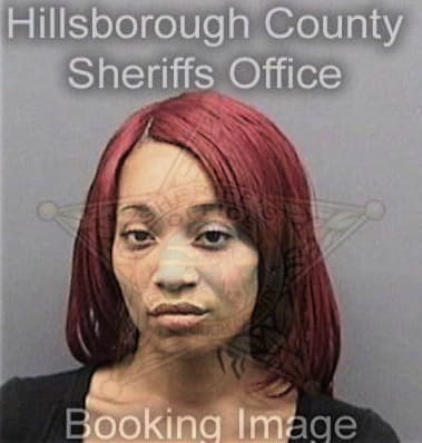 Kimberly Blaine - Hillsborough County, FL 