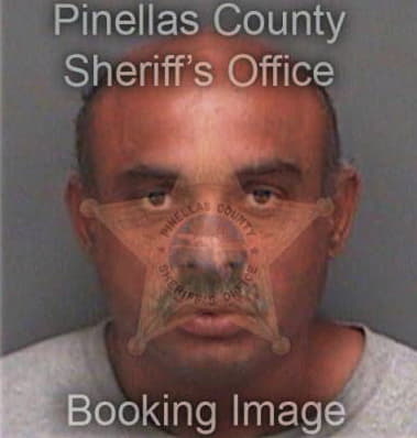 Anthony Capitti, - Pinellas County, FL 