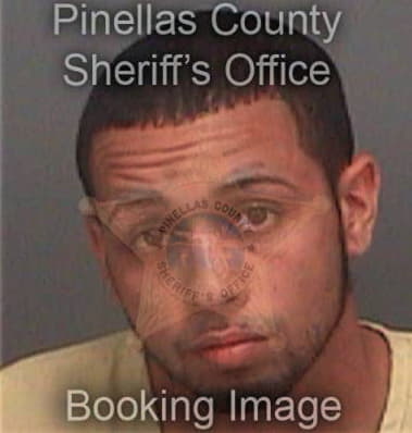 Francisco Diaz, - Pinellas County, FL 