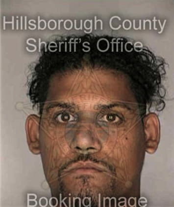 Gustavo Fernandezrave, - Hillsborough County, FL 