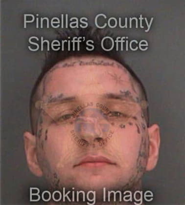 Ryan Hildenbeutel, - Pinellas County, FL 