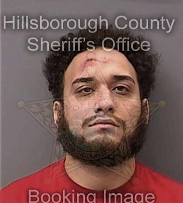 Edwin Martinez-Perez, - Hillsborough County, FL 