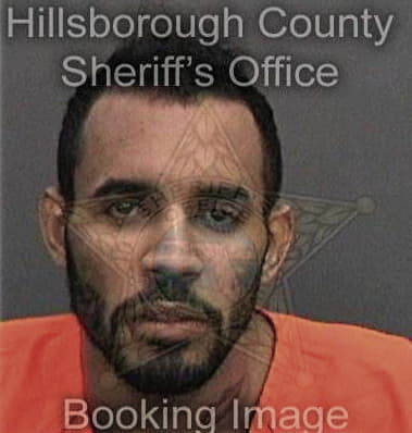 Andrew McFarland - Hillsborough County, FL 