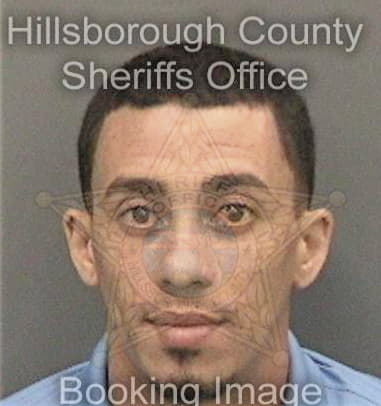 Abdiel Rodriguezperez, - Hillsborough County, FL 