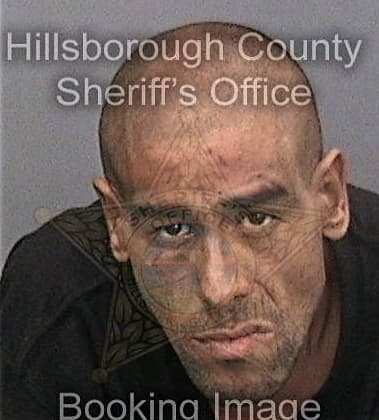 Adrian Ventura, - Hillsborough County, FL 