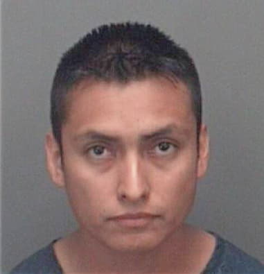 Manuel Gonzalez, - Pinellas County, FL 