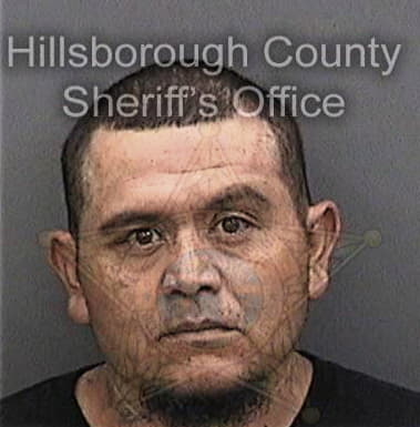 Steven Parmley, - Hillsborough County, FL 