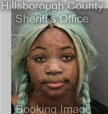 Mariama Sow, - Hillsborough County, FL 