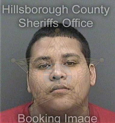 Daniel Walkowicz, - Hillsborough County, FL 