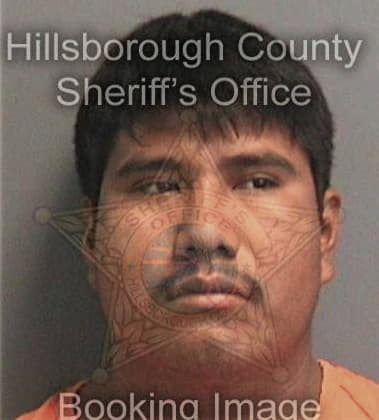 Ronald Budd, - Hillsborough County, FL 