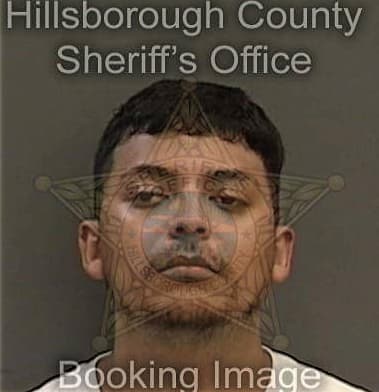 Damien Connell, - Hillsborough County, FL 