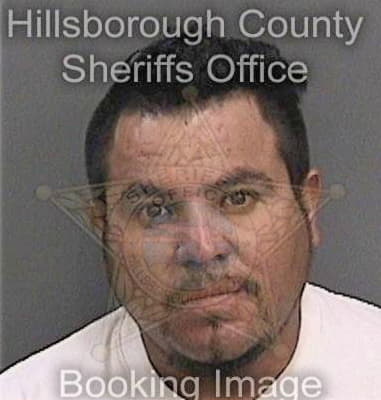 Michael Horan, - Hillsborough County, FL 