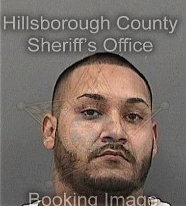 Jonathan Machadogonzalez, - Hillsborough County, FL 