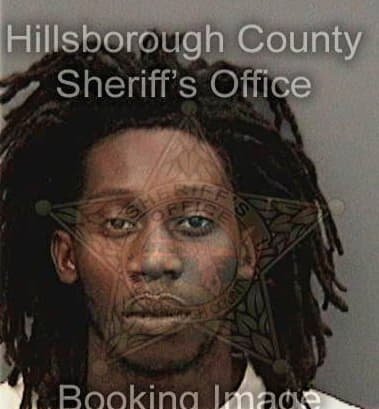 Ryan Mills - Hillsborough County, FL 
